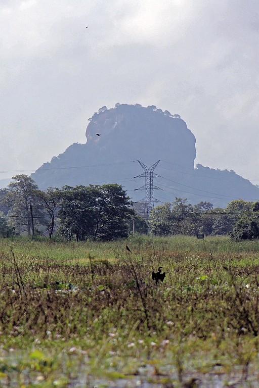SriLan (446).jpg